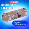 Пенал-тубус ПИФАГОР, мягкий, "HOLIDAY", 20х7 см, 229269, 229269