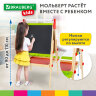 Мольберт растущий 3 в 1 для мела/магнитно-маркерный 48х43 см, BRAUBERG KIDS, 238151, 238151