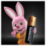 Батарейки КОМПЛЕКТ 4 шт., DURACELL Basic ОРИГИНАЛ, AA (LR6, 15А), алкалиновые, пальчиковые, MN 1500 АА LR6, 450402