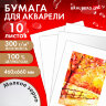 Бумага для акварели 300 г/м2 460x660 мм мелкое зерно, 10 листов, BRAUBERG ART PREMIERE, 113232, 113232