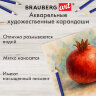 Карандаши художественные цветные акварельные BRAUBERG ART CLASSIC, 36 цветов, грифель 3,3 мм, 181531, 181531