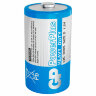 Батарейки КОМПЛЕКТ 2 шт., GP PowerPlus D (13C), солевые, в пленке, 13CEBRA-2S2, 457759