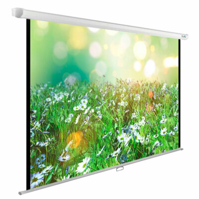 Экран Cactus WallExpert CS-PSWE-200x200-WT, 200x200 см, 1:1, настенно-потолочный, белый, 238930
