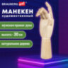 Манекен художественный BRAUBERG ART CLASSIC "РУКА", высота 30 см., мужская правая, дерево, 191297, 191297
