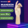 Манекен художественный BRAUBERG ART CLASSIC "РУКА", высота 30 см., мужская левая, дерево, 191296, 191296