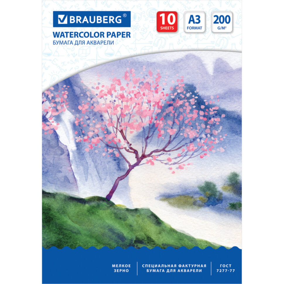 Бумага для акварели БОЛЬШАЯ А3, 10 л., 200 г/м2, 297х420 мм, BRAUBERG, "Сакура", 125224, 125224