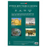 Бумага для гуаши и акрила А4 20 л., 235 г/м2, 210х297 мм, в папке, BRAUBERG ART CLASSIC, "Уточка", 117732, 117732
