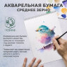 Папка для акварели А4, 10 л., "НЕЗНАКОМКА", зерно, 200 г/м2, бумага ГОЗНАК, BRAUBERG ART CLASSIC, 112319, 112319