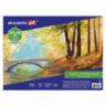 Холст на картоне BRAUBERG ART CLASSIC, 30*40см, грунтованный, 100% хлопок, мелкое зерно, 190621, 190621