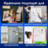 Магниты BRAUBERG "STANDARD", НАБОР 30 мм - 6 шт., 40 мм - 4 шт., ассорти, 237471, 237471