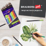 Карандаши художественные цветные BRAUBERG ART CLASSIC, 36 цветов, МЯГКИЙ грифель 3,3 мм, 181538, 181538