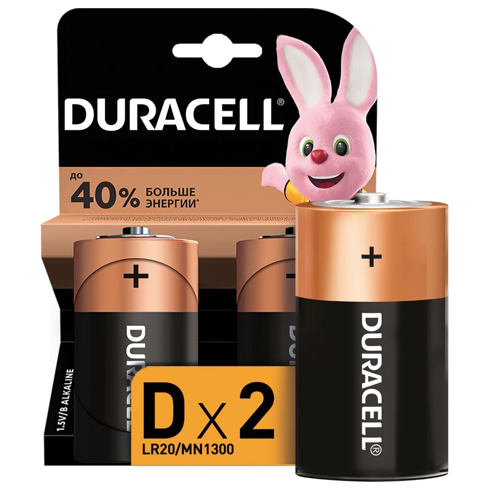 Батарейки КОМПЛЕКТ 2 шт., DURACELL Basic ОРИГИНАЛ, D (LR20, 13А), алкалиновые, блистер, MN 1300D LR20, 450401